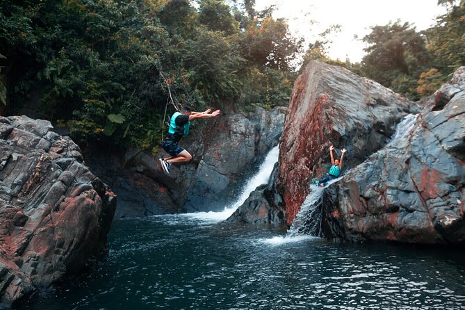 Puerto Rico El Yunque Rainforest with Transportation - Key points to know before booking