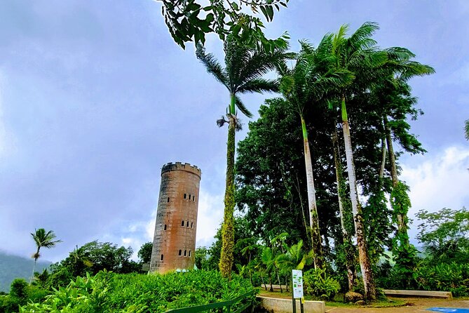 Puerto Rico: El Yunque Sightseeing Half-Day Tour w/Transfer - Key points to know before booking