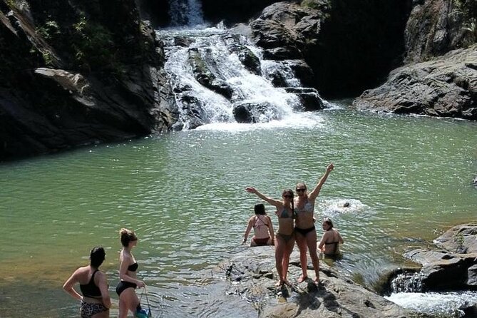 Puerto Rico Hiking and Waterfall PRIVATE Excursion! - Rio Grande: empanadas, fruit frappés, and fresh juice