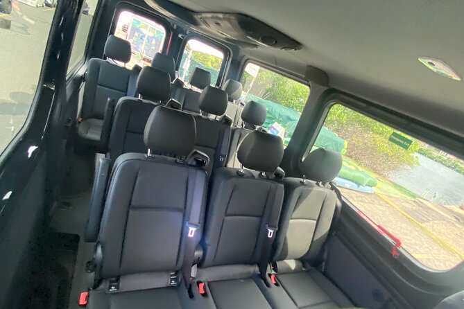 Puerto Rico Island Wide Private Transfers, 11Pax Lux Sprinter Van - Meeting your chauffeur and handling delays