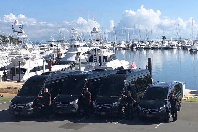Puerto Rico Island Wide Private Transfers, 11Pax Lux Sprinter Van - Stops, child seats, and late-night fees