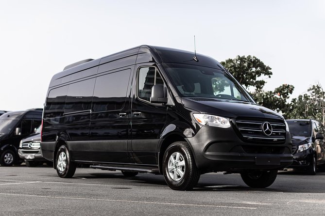 Puerto Rico Island Wide Private Transfers, 14Pax Lux Sprinter Van - Meeting your chauffeur at the airport or cruise port
