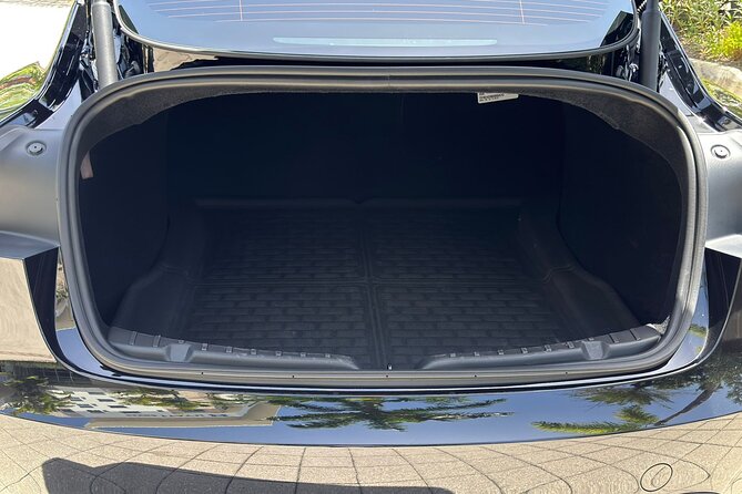 Puerto Rico Island Wide Private Transfers, Tesla 3 Luxury Sedan. - How the service handles delays and late arrivals