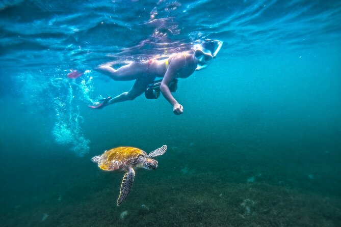 Puerto Rico Jet Snorkel with Turtles and Videos in San Juan - The first 15 minutes: briefing and gear fitting