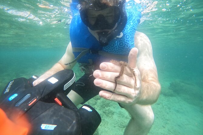 Puerto Rico Jet Snorkel with Turtles and Videos in San Juan - Guide quality and group size