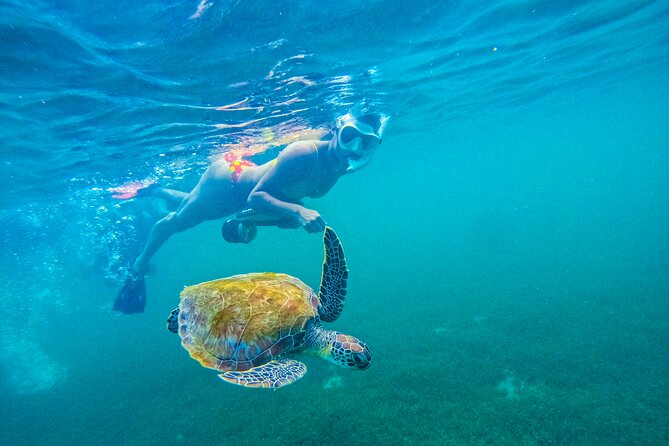 Puerto Rico Jet Snorkel with Turtles and Videos in San Juan - Using the jet snorkel for the first time