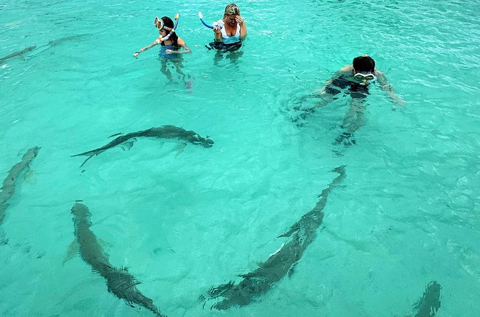 Puerto Rico's Only Private, VIP & Filmed Bio Bay Swim Experience - Guides, Group Size, and the VIP Feel