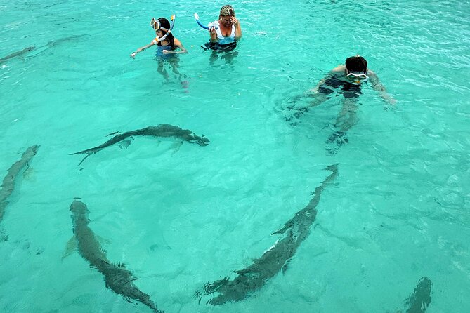 Puerto Rico's Only Private, VIP & Filmed Bio Bay Swim Experience - Is $429.99 Per Person Fair?