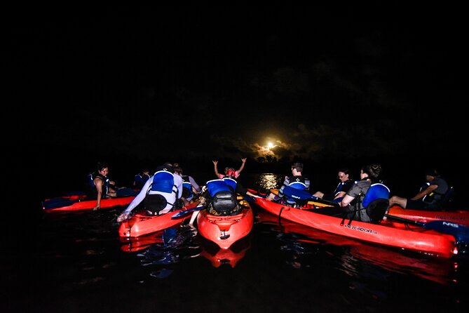 Puerto Rico Sunset Magic: Bio Bay Kayaking Tour from Fajardo - Key points before you book