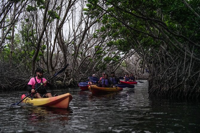 Puerto Rico Sunset Magic: Bio Bay Kayaking Tour from Fajardo - Why Laguna Grande feels different after sunset