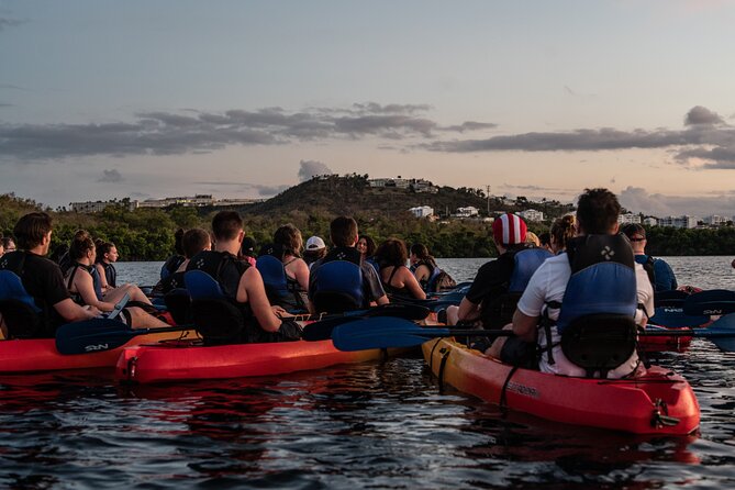 Puerto Rico Sunset Magic: Bio Bay Kayaking Tour from Fajardo - Why the marine biologist guide matters