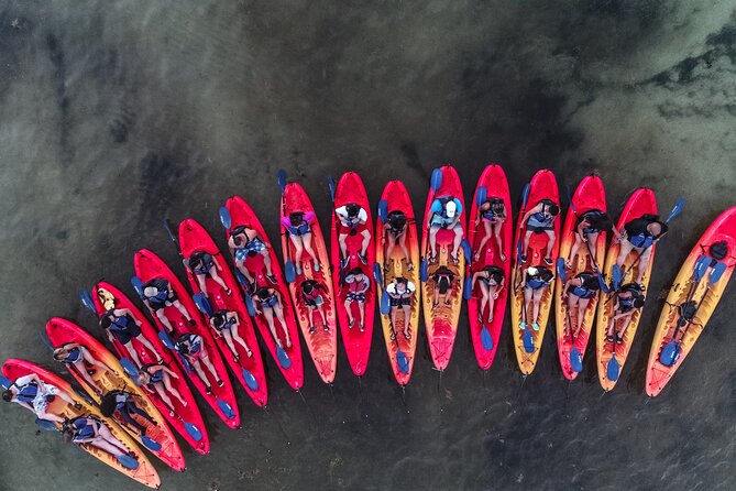 Puerto Rico Sunset Magic: Bio Bay Kayaking Tour from Fajardo - Choosing the best departure time