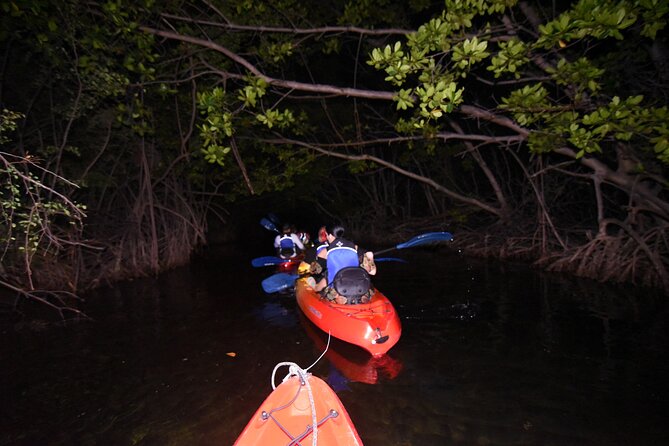 Puerto Rico Sunset Magic: Bio Bay Kayaking Tour from Fajardo - What to wear and pack for a wet night