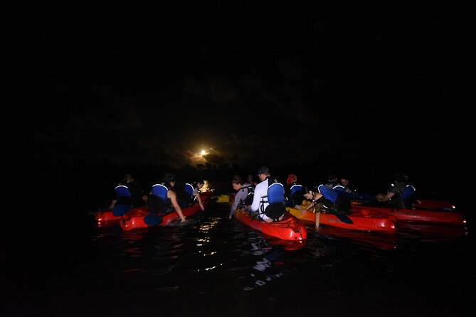 Puerto Rico Sunset Magic: Bio Bay Kayaking Tour from Fajardo - Fitness, age, and the strict weight policy