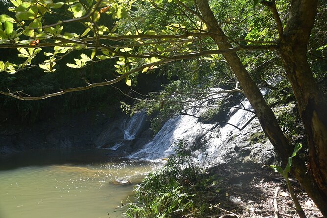 Puerto Rico Waterfall Hiking Tour: Discover Hidden Gems 2.0 - Key points to know before booking