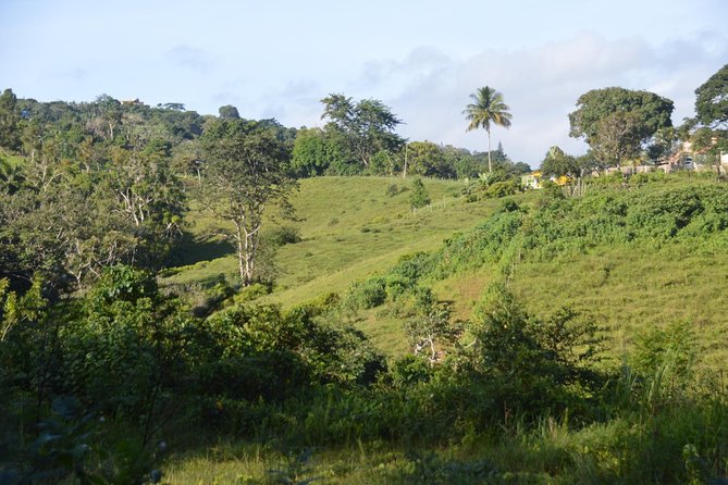 Puerto Rico Waterfall Hiking Tour: Discover Hidden Gems 2.0 - From San Juan to the mountains at 1,700 feet