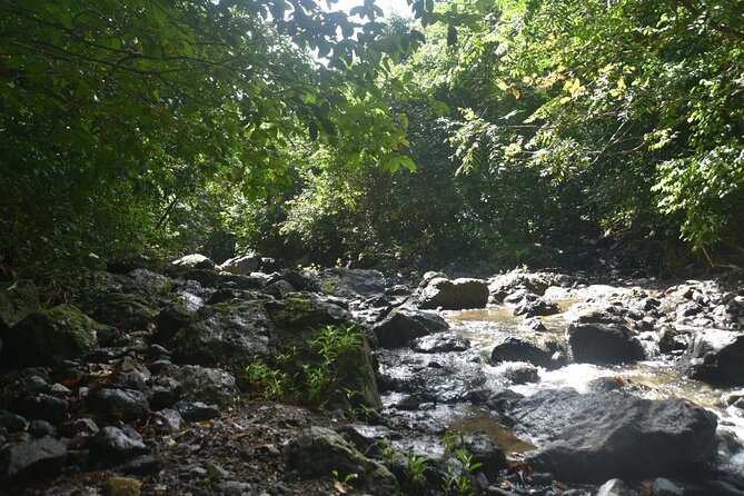 Puerto Rico Waterfall Hiking Tour: Discover Hidden Gems 2.0 - Guides make the rough parts feel manageable