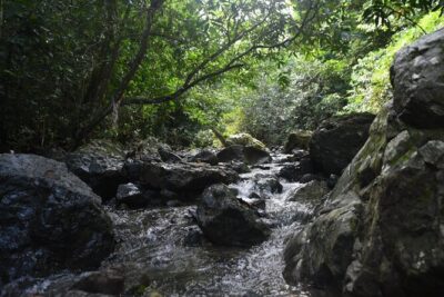 Puerto Rico Waterfall Hiking Tour: Discover Hidden Gems 2.0