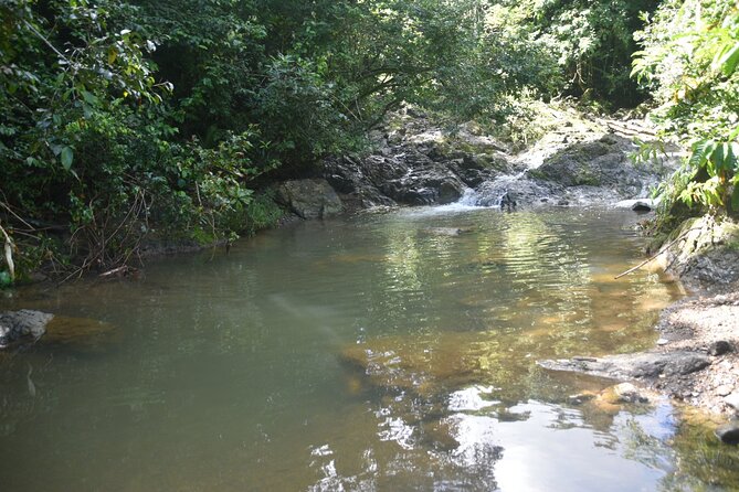 Puerto Rico Waterfall Hiking Tour: Discover Hidden Gems 2.0 - Who should book this waterfall hike?