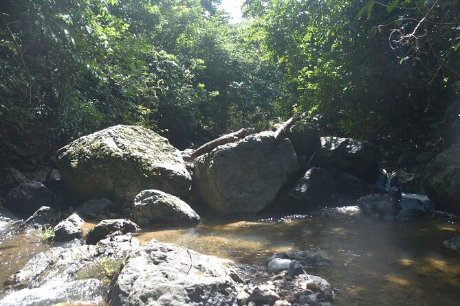 Puerto Rico Waterfall Hiking Tour: Discover Hidden Gems 2.0 - Practical details that can make or break the day