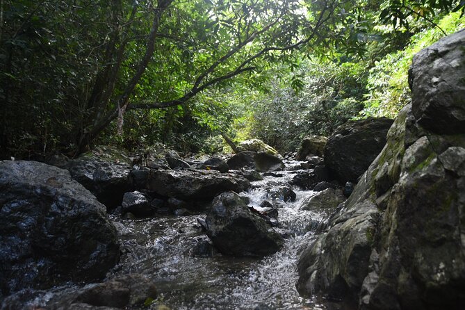 Puerto Rico Waterfall Hiking Tour: Discover Hidden Gems 2.0 - The 130-foot waterfall rewards the effort