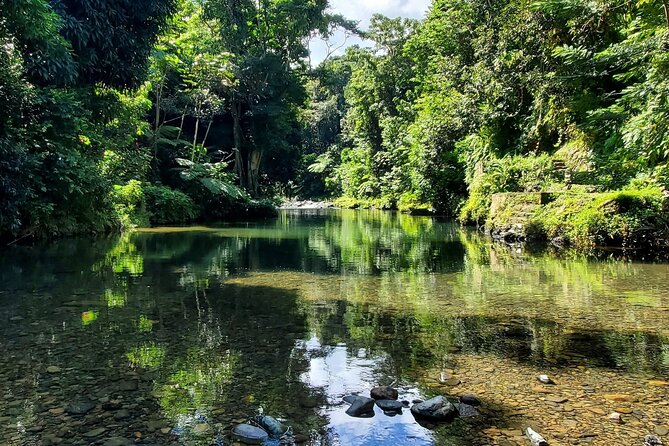 Rainforest and Junglequi Zipline Combo Tour - Leaving San Juan at 8:30 a.m.