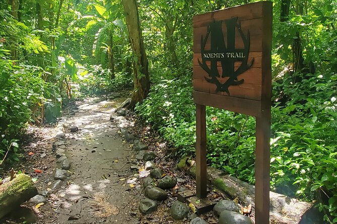 Rainforest and Junglequi Zipline Combo Tour - Is $200 a fair price?