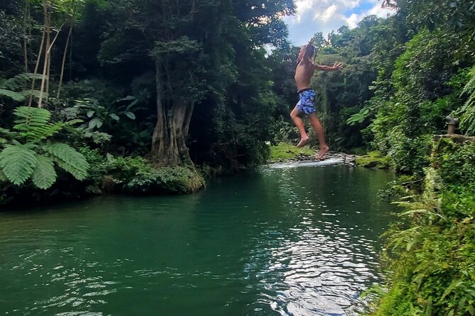 Rainforest and Junglequi Zipline Combo Tour - Who will enjoy this day most?