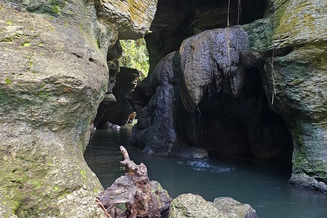 Rainforest Cave Tubing Adventure - Who should book this experience
