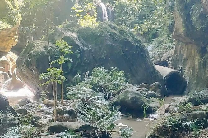 Rainforest Caves and Waterfalls Exploration with Transportation - Petroglyphs and the human side of the caves