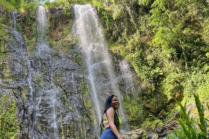 Rainforest Hike to Hidden Waterfall in Puerto Rico with Transport - Walking through the Bayamon rainforest