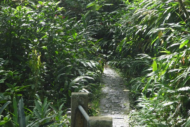Rainforest Nature Walk & Luquillo Beach Combo - The road east and the roadside food stop