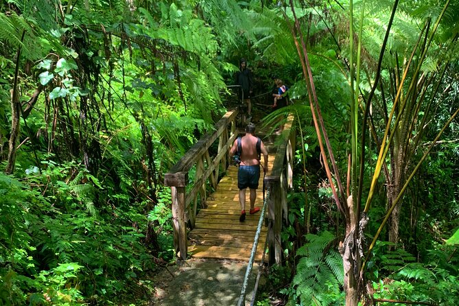 Rainforest Nature Walk & Luquillo Beach Combo - Swimming in the river