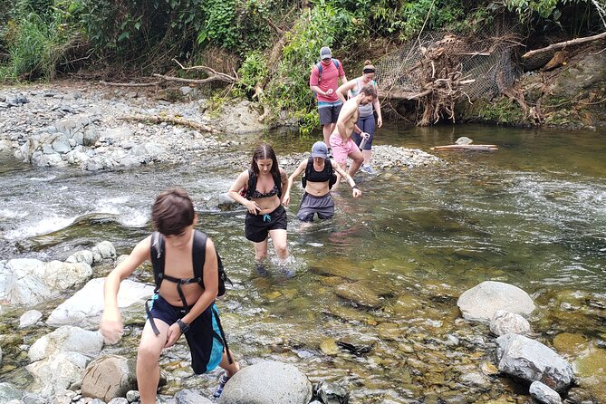 Rainforest River Hike and Waterfalls Adventure - Photography without ruining your phone