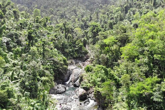 Rainforest River Nature Walk Adventure and Luquillo Beach - Is $79 a good value?