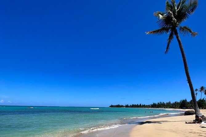 Rainforest Waterfall Slides/Adult Drinks included/ Beach - Key points to know before booking