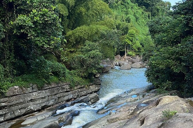 Rainforest Waterfall Slides/Adult Drinks included/ Beach - Who will enjoy this tour most