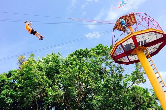Rainforest Zipline in Foothills of the National Rainforest - Starting at Road 191 in Río Grande