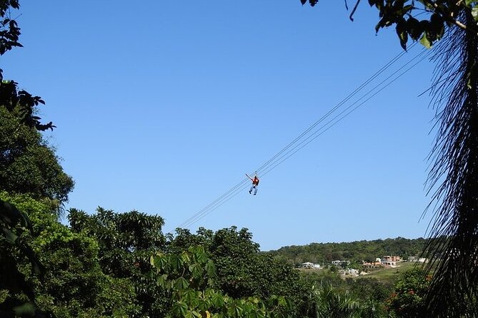 Rainforest Zipline in Foothills of the National Rainforest - How the guides shape the experience