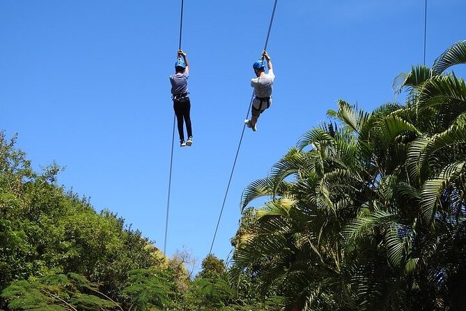 Rainforest Zipline in Foothills of the National Rainforest - What $111.80 buys you
