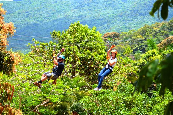 Rainforest Zipline in Foothills of the National Rainforest - Who should book this rainforest zipline