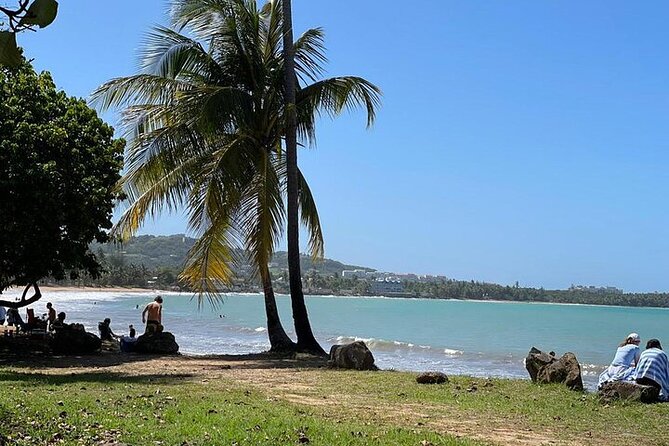 Rainforest Zipline, Luquillo Beach, and Natural Springs Day Trip - What the guide adds to the day