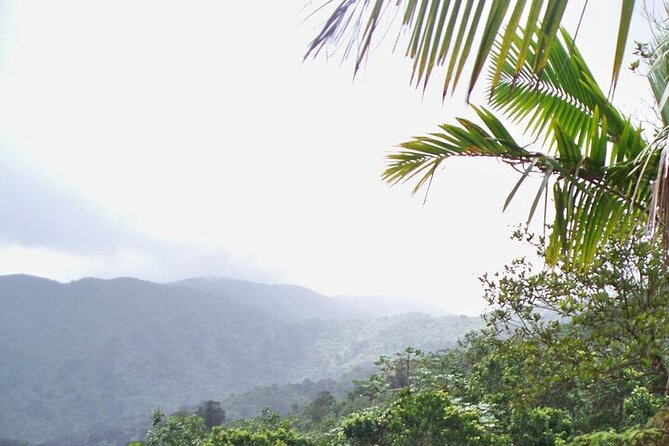 Rainforest Zipline, Luquillo Beach, and Natural Springs Day Trip - Who should book this tour?