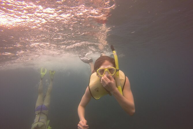 Rincon Snorkeling Adventure - Why a small group changes the experience
