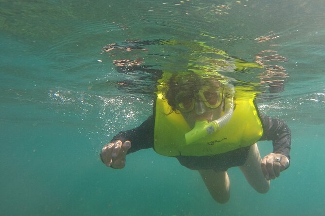 Rincon Snorkeling Adventure - Is $59 a good value?