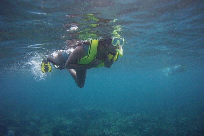 Rincon Snorkeling Adventure - Practical tips for a calmer reef visit