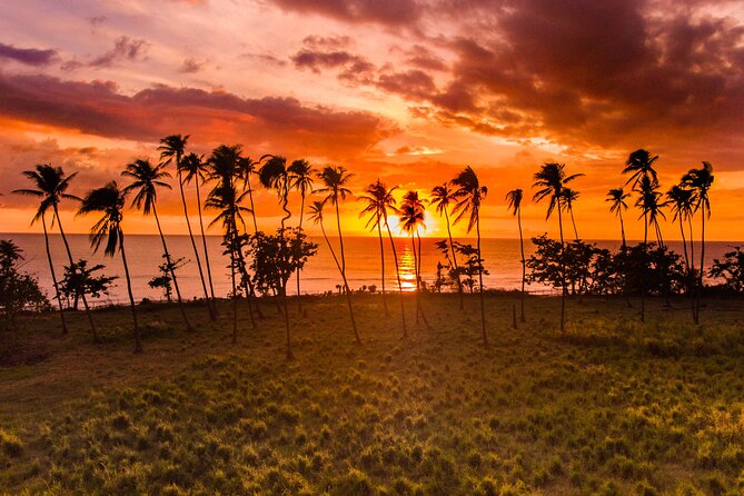 Rincon Tour Sunset & Nightlife Experience - Key points at a glance