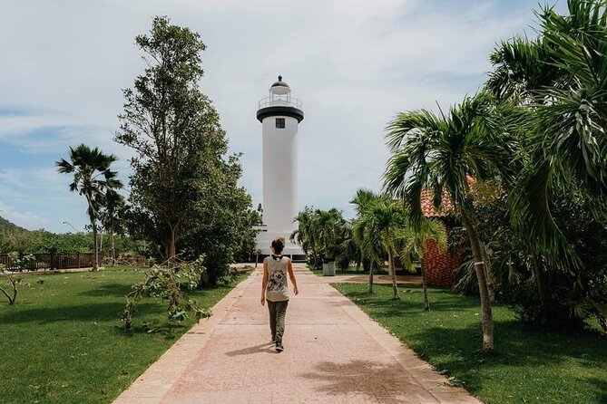 Rincon Tour Sunset & Nightlife Experience - Who will get the most from this outing