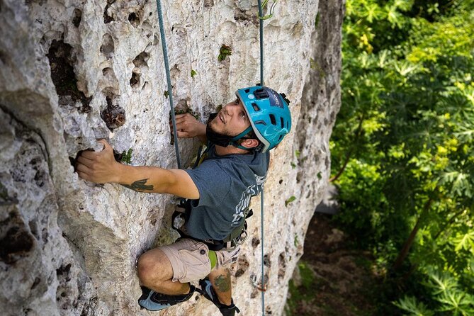Rock Climbing for Beginners or Experienced - Is $150 a Fair Price?