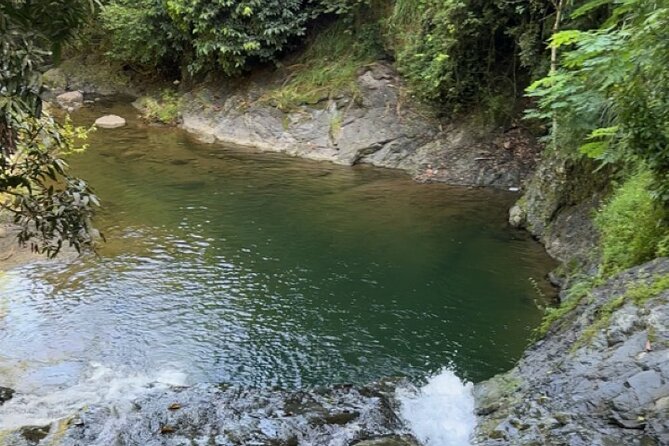 Salto de Pilar Cliff Jumping Tour - A moderate forest hike, not a casual stroll